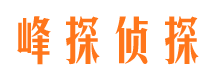 京山侦探公司